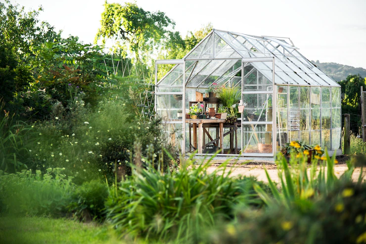 Consider The Plants You Want To Grow